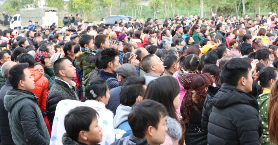 QQ截图20160126100845.png