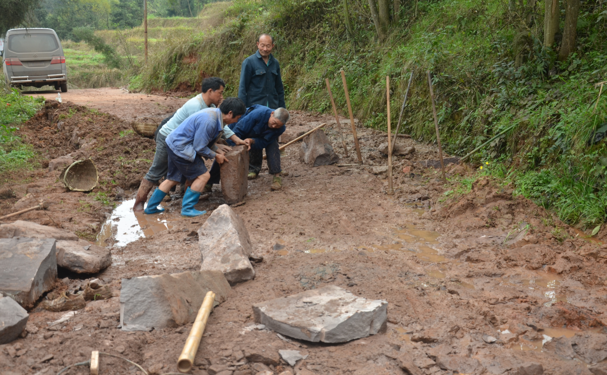 西华村桐鼓坪通组公路急需建设.png